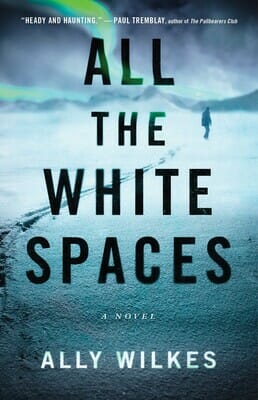 All the White Spaces by Ally Wilkes - Best Gay Thrillers