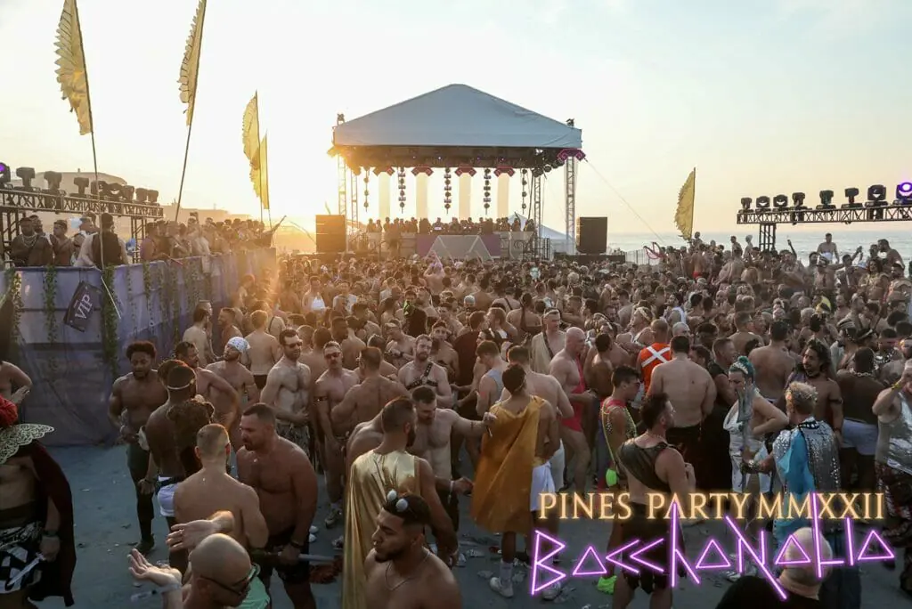 Pines Party Fire Island - fire island gay party