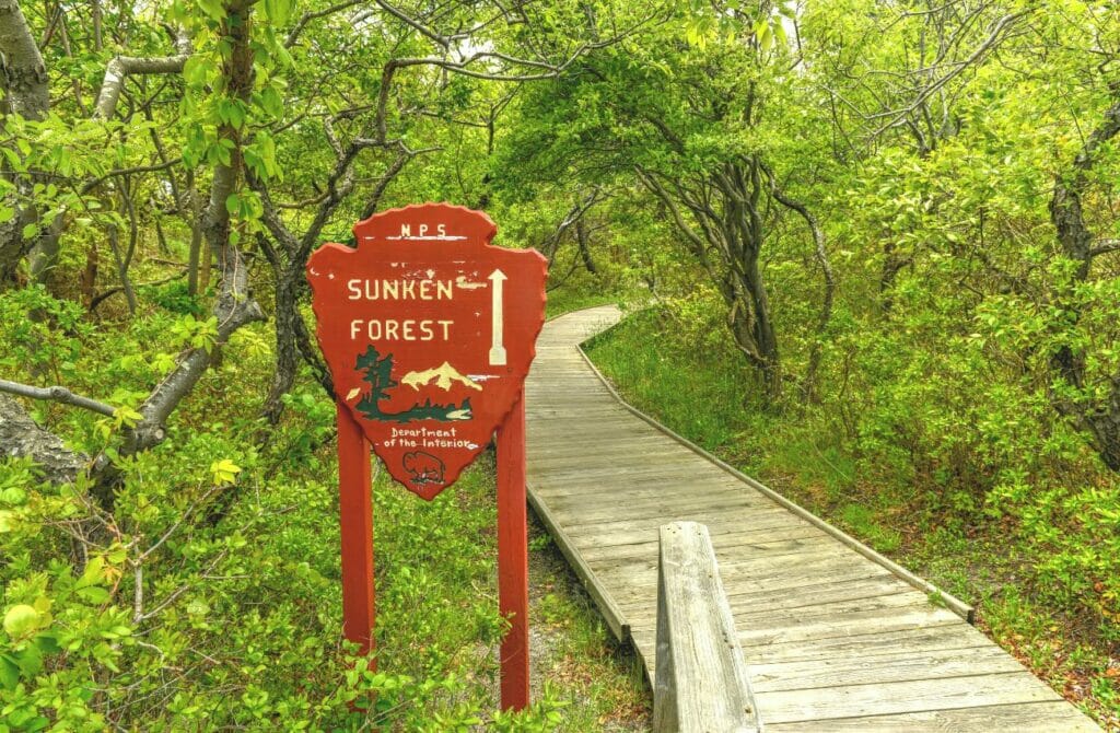things to do in Gay Fire Island - attractions in Gay Fire Island - Gay Fire Island travel guide (3)