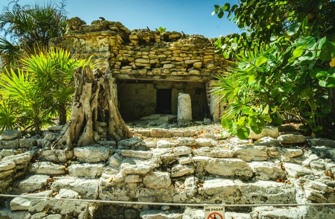 Gay Playa Del Carmen, Mexico The Essential LGBT Travel Guide!