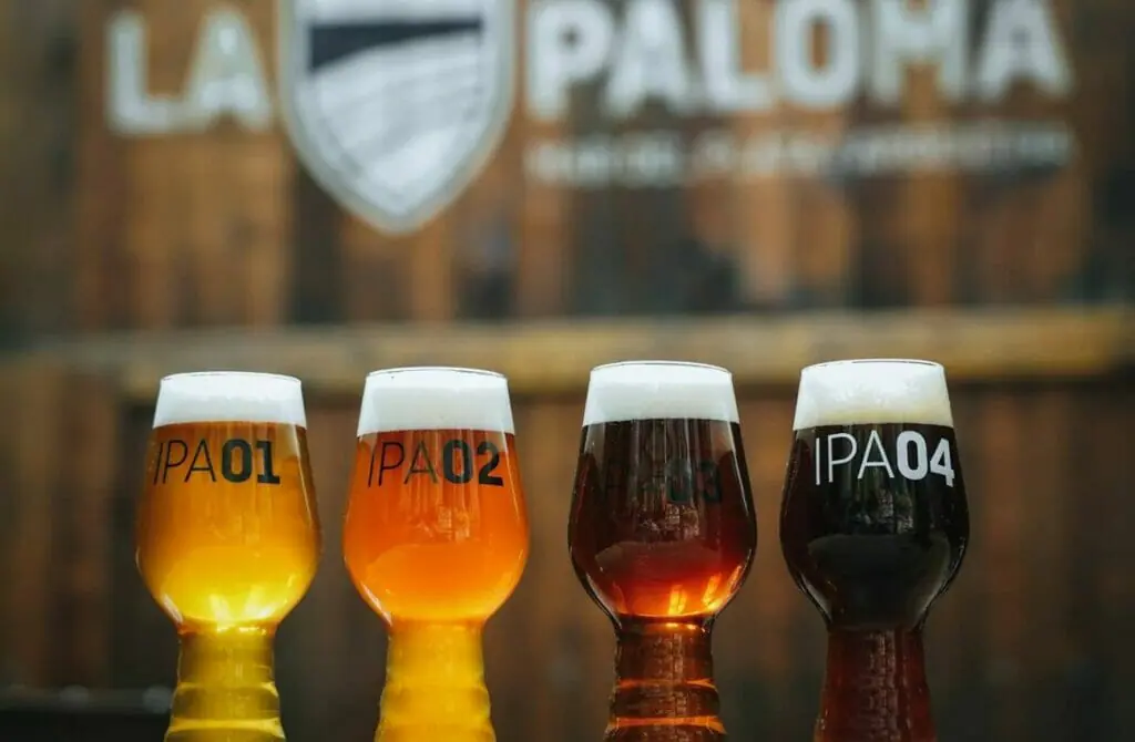 La Paloma Brewing Company - Gay Nightlife in Mar Del Plata