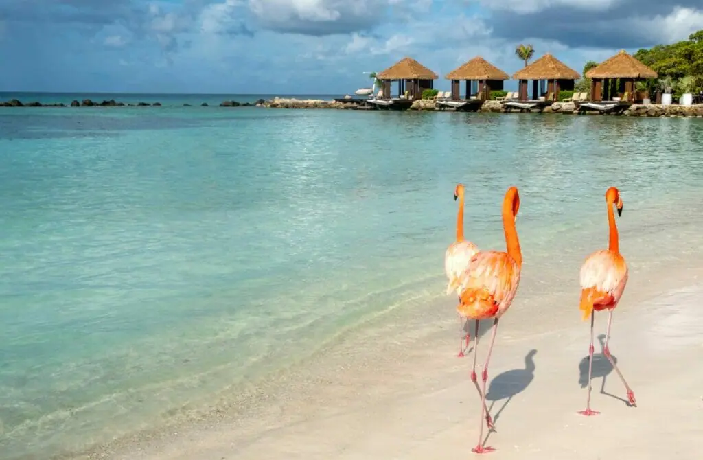 things to do in Gay Aruba - attractions in Gay Aruba - Gay Aruba travel guide