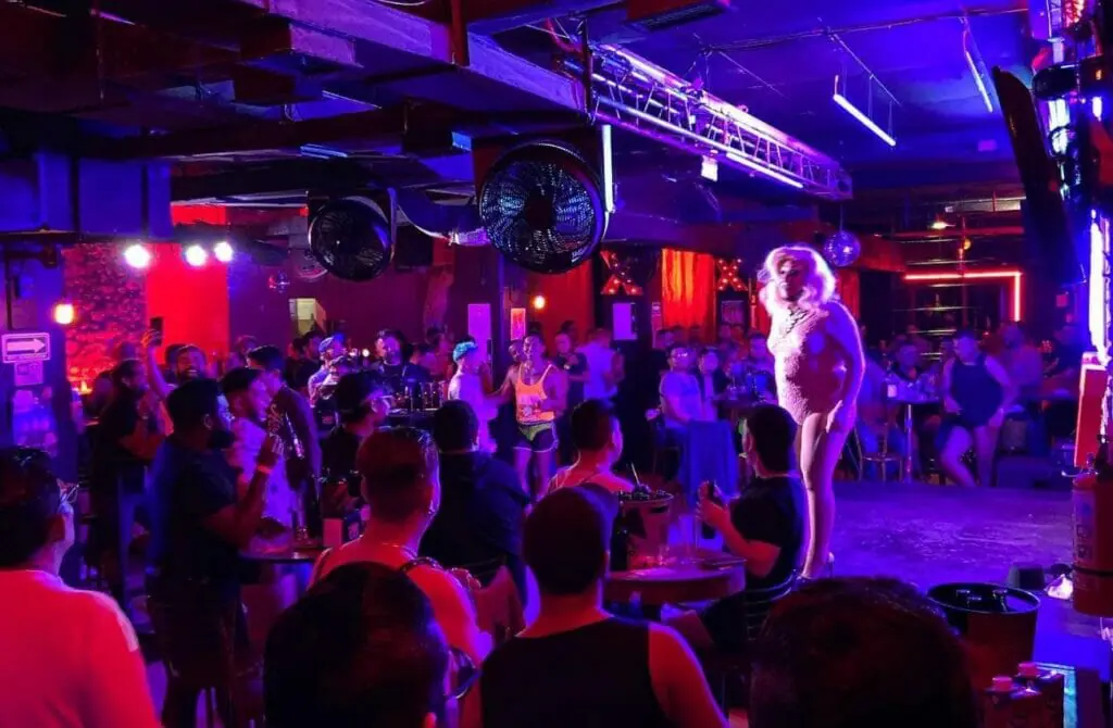Nicho Bears & Bar - Gay Nightlife in Tampico