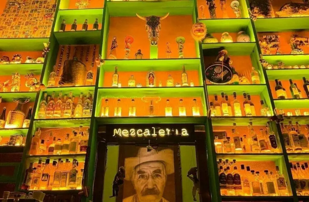 Tata Mezcalería - Gay Nightlife in Morelia