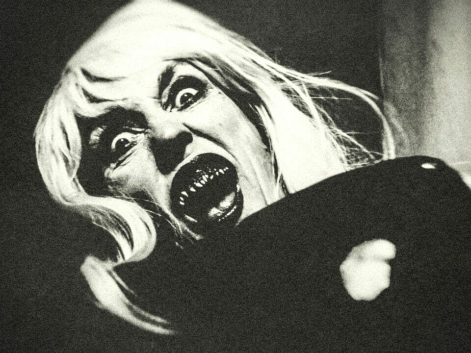 The 25 Best Gay Horror Movies You Should Already Have Seen By Now! 🏳️‍🌈