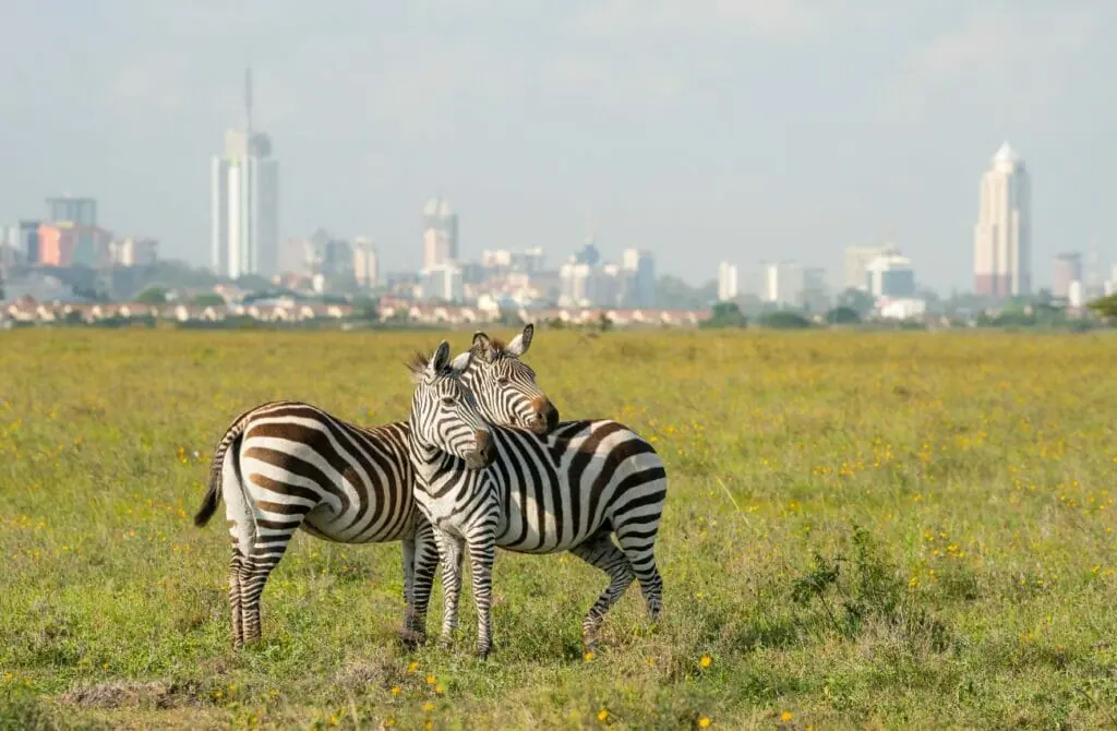 things to do in Gay Nairobi - attractions in Gay Nairobi - Gay Nairobi travel guide