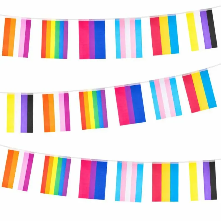 60 Flags 66 Feet LGBT Pride Rainbow Flags Banner