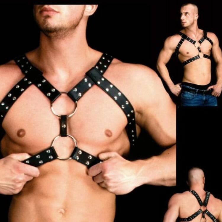 Y-Studded Leather Harness