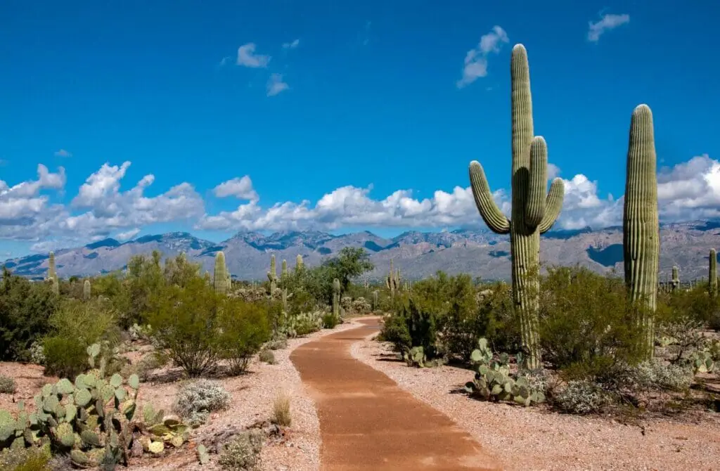 things to do in Gay Tucson - attractions in Gay Tucson- Gay Tucson travel guide