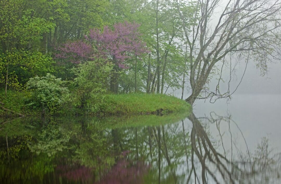 Gay Saugatuck, Michigan The Essential LGBT Travel Guide!