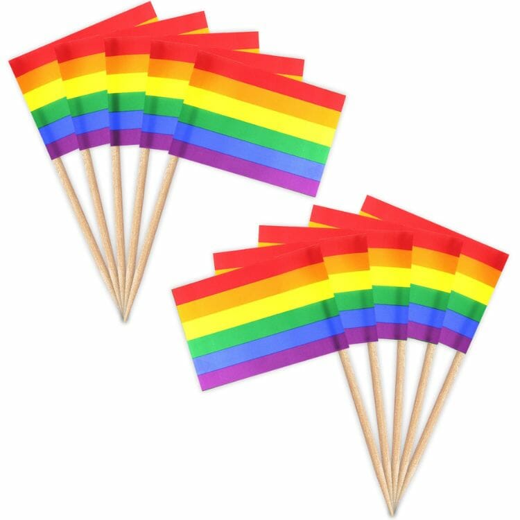 ZXvZYT Pride Rainbow Toothpick Flags