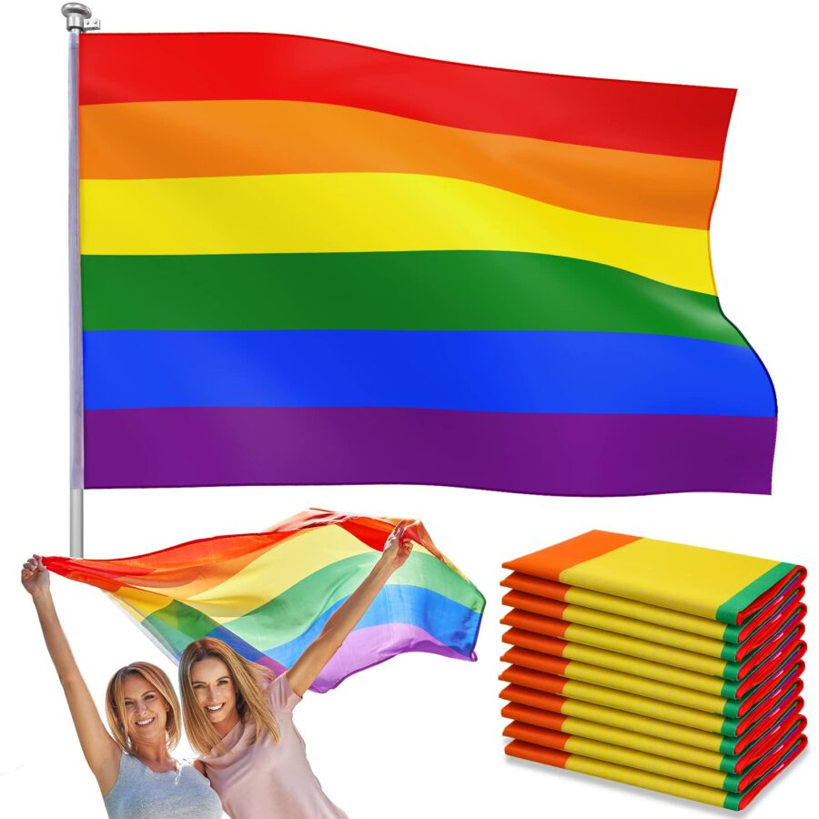 Panelee 10 Pcs Rainbow Pride Gay Flag