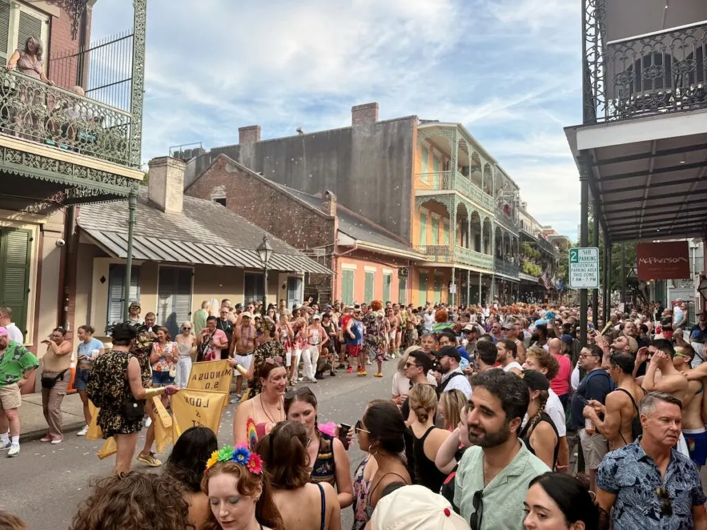 Glitter, Gators & Gays! A Debaucherous Day Southern Decadence New Orleans Guide!
