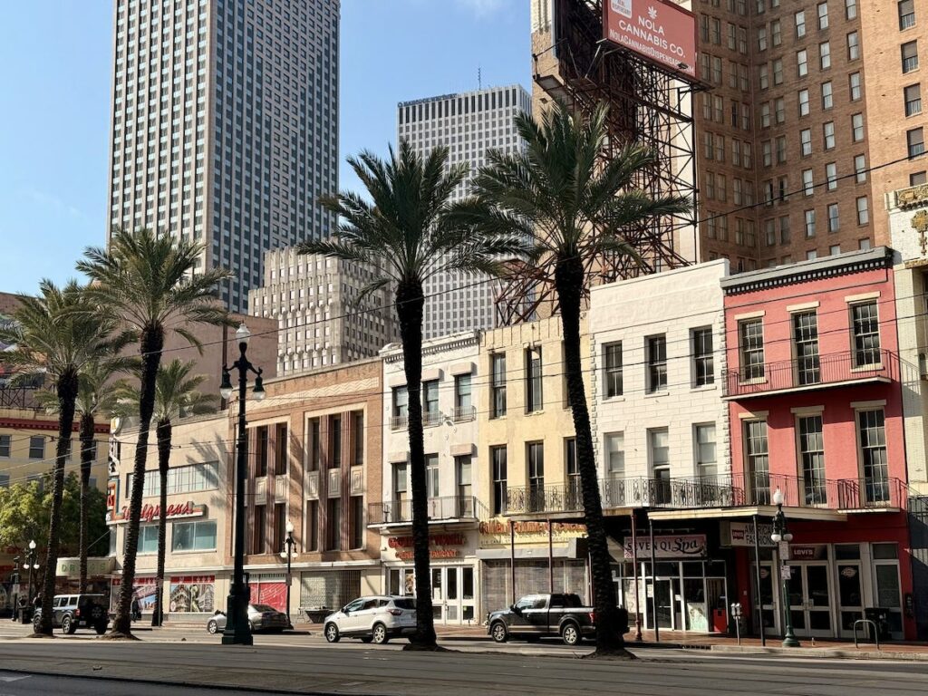 Glitter, Gators & Gays! A Debaucherous Day Southern Decadence New Orleans Guide!